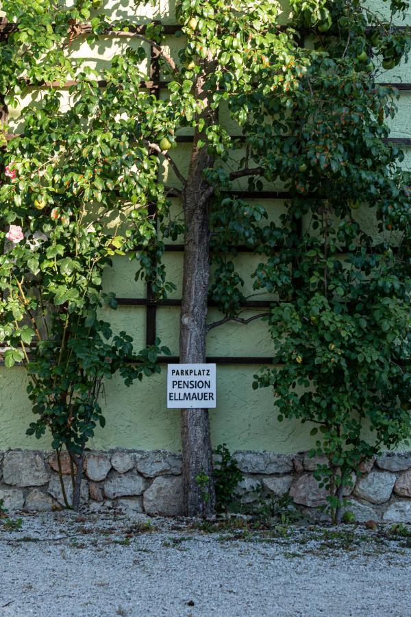 Aberseeblick Pension Ellmauer Daire Saint Wolfgang Dış mekan fotoğraf