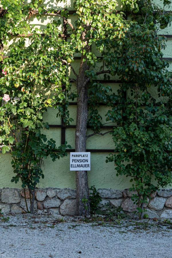 Aberseeblick Pension Ellmauer Saint Wolfgang Dış mekan fotoğraf
